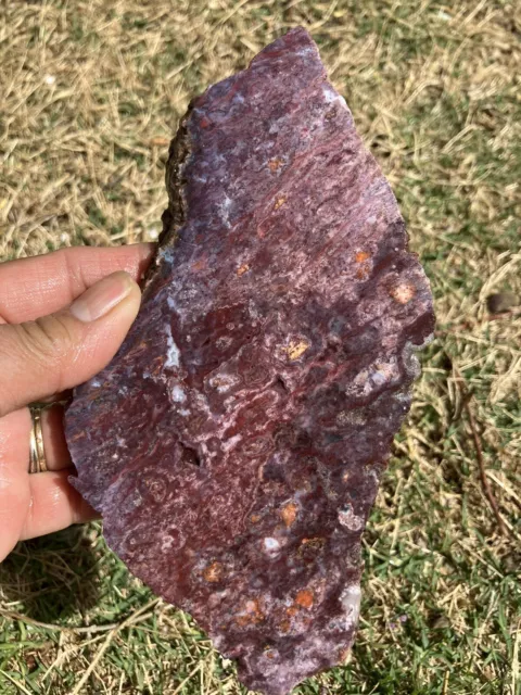 Rhyolite Slab (NM)