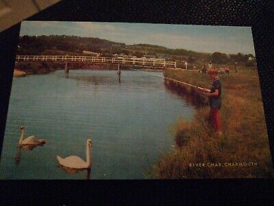 Postcard River Char Charmouth