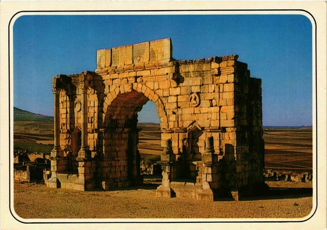 CPM AK Volubilis- Basilique et le capitol MAROC (881240)