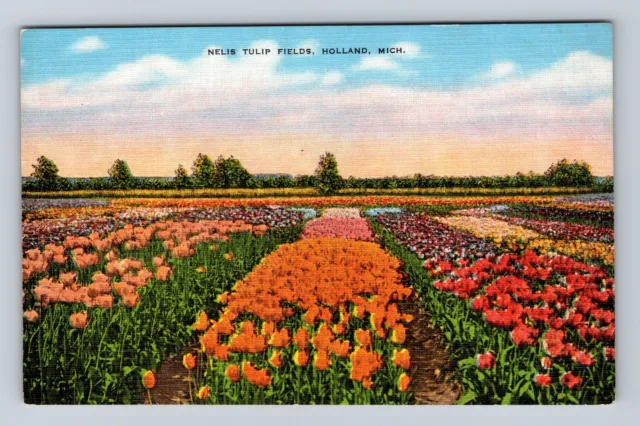 Holland MI-Michigan, Nelis Tulip Fields, Antique, Vintage Postcard