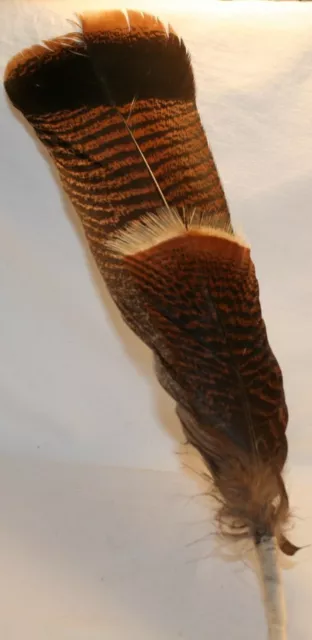 Smudging Feather Native American Indian Ceremony Prayer Hand Wrapped Wand