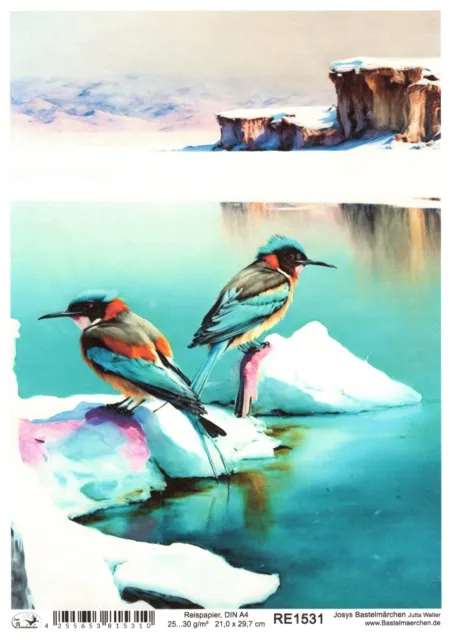 Papel de arroz A4 seda de paja decoupage pájaro del paraíso aves hielo lago paisaje RE1531