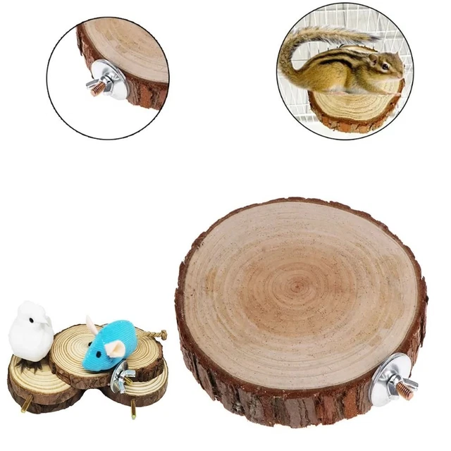 Holz Vogel Barsch Stand Papagei Spielplatz  Eichhörnchen Drachen Katze Papagei