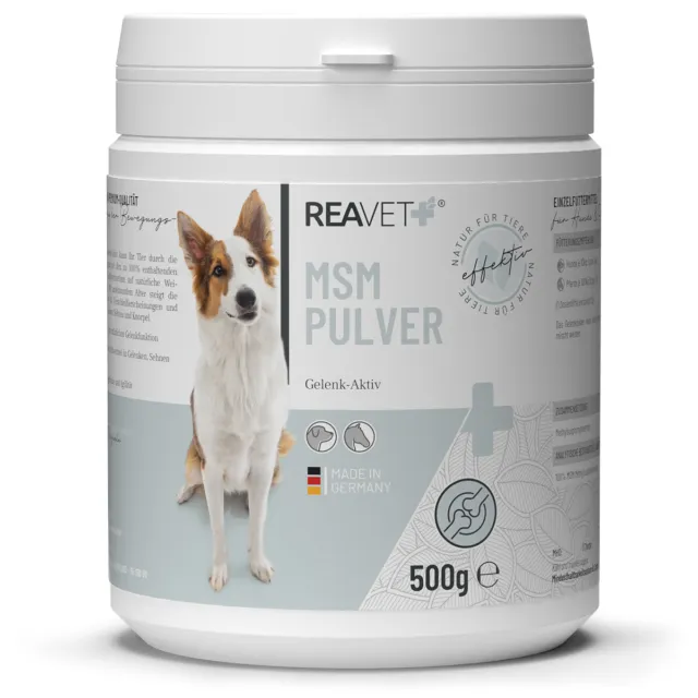 REAVET MSM Pulver 500g, Pferd & Hund I Gelenkpulver für Sehnen, Bänder & Knorpel