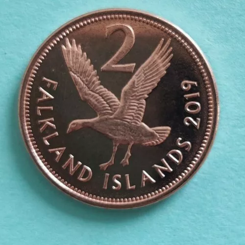 2019 Falkland Islands Unc 2p Two Pence coin featuring The Goose