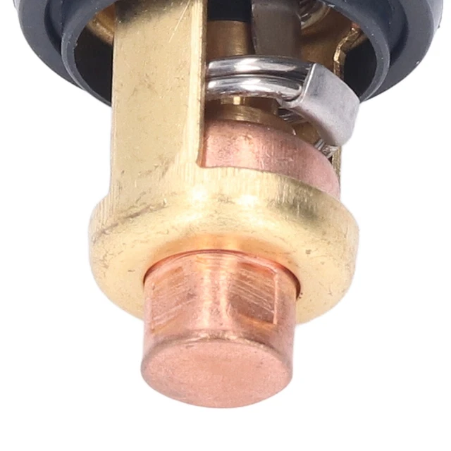 66M1241100 Motore fuoribordo professionale robusto affidabile e durevole 60 °C 140