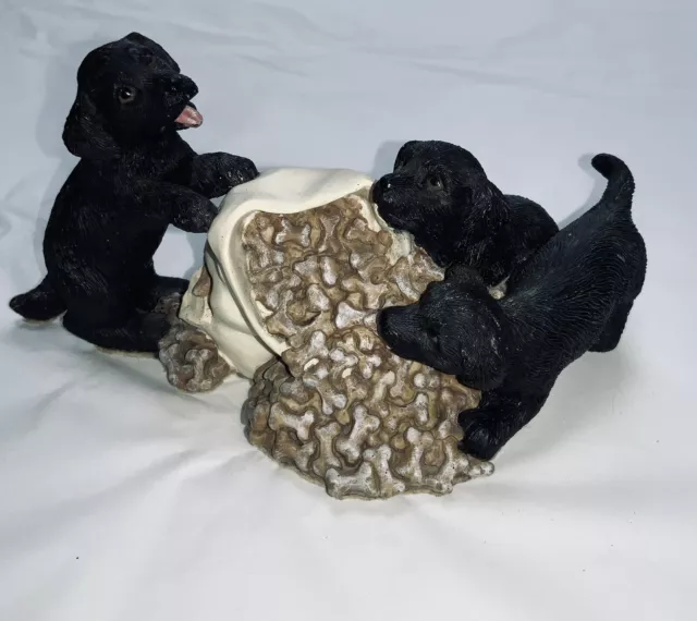 Preloved labradors for sale cheap