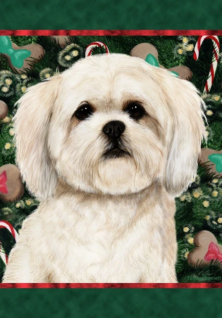 Christmas Holiday Garden Flag - White Lhasa Apso 142941