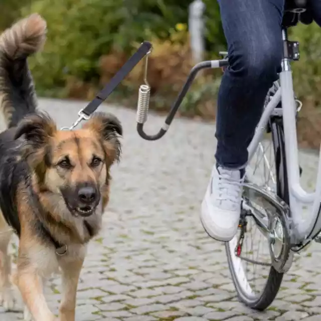 TRIXIE Dog Biker Cycling Leash Set U-Shaped Black Outdoor Pet Leads vidaXL