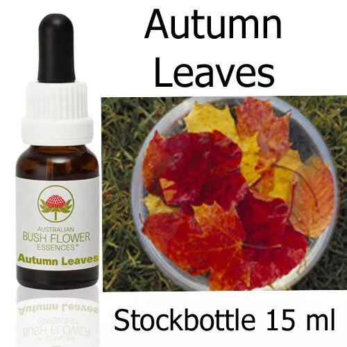 AUTUMN LEAVES Australian Bush Flower Essences fiori cespuglio australiani