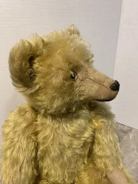 Antique Adorable Giant BING Teddy Bear 1920 Vintage Germany 24” Very Steiff Like