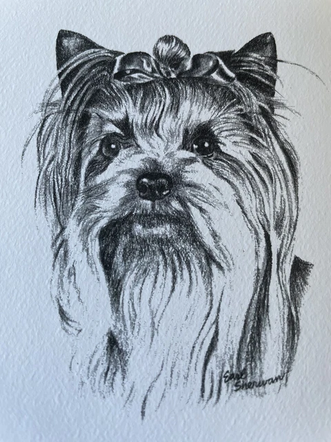 Vintage Yorkie dog portrait cards by Earl Sherwan 7cards 4 Envelopes opened box