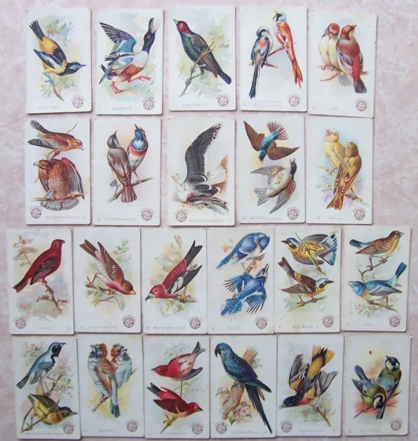 Beautiful Birds New Series (J2) Church & Co. Soda Large Cards Lot Of 22