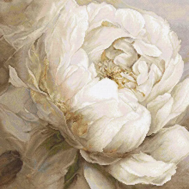 Letistitch Counted Cross Stitch Kit Peony Poses L8083