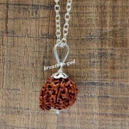 Raro y original Ganesh Rudraksha energizado con plata (certificado A ++)