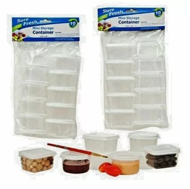 MINI STORAGE CONTAINERS with Lids Sure Fresh Plastic Reusable