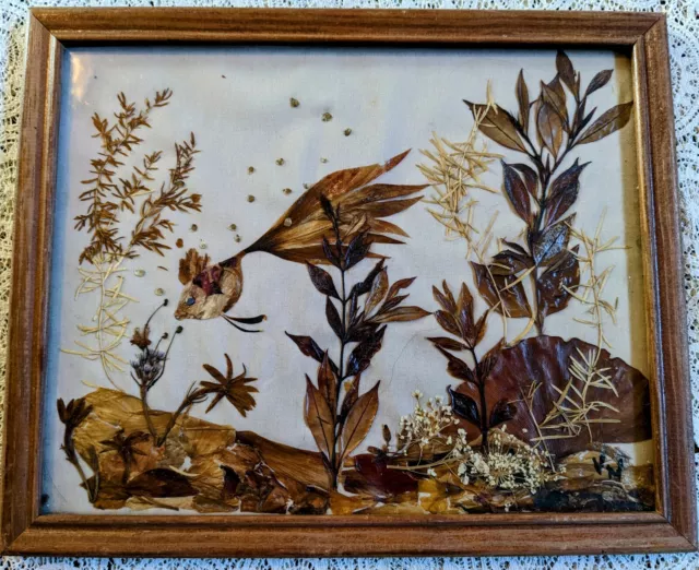 Signed Vintage Dried preserved Plant flower Art goldfish aquatic water painting