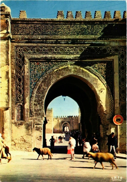 CPM AK Fez- Bab El Makina, Moulay Hassan MOROC (880364)