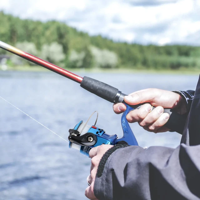 Ensemble complet de roulements pour moulinet Daiwa Alphas Qualité pêche