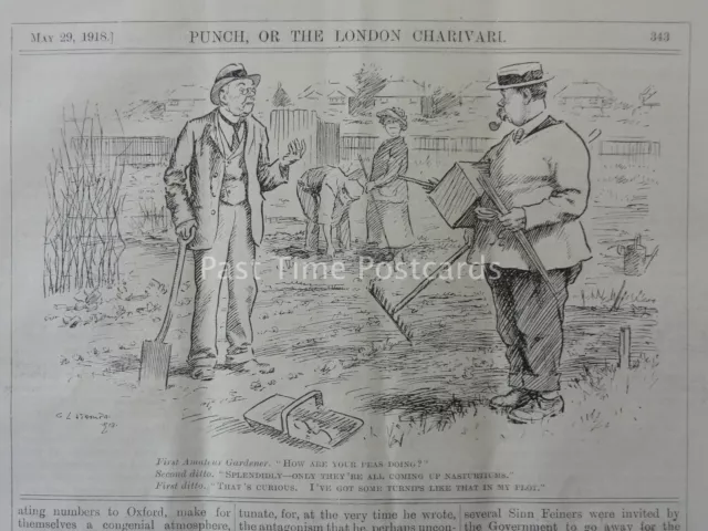 WW1 1918 May 29th ALLOTMENTS AND THE AMATEUR GARDENER Punch Cartoon