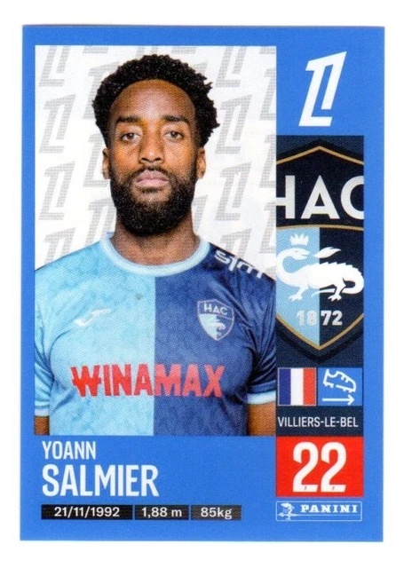 STICKER PANINI FOOT 1988 EQUIPE LEHAVRE PART 2 # 104 RECUP REMOVED