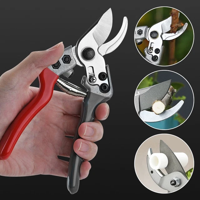 greffage Ciseaux de jardin Cisailles d'élagage Outil de greffage de jardin