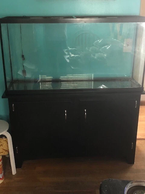 60 Gallon Aquarium with Stand