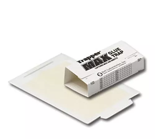 Mice Control Pest Trap Moth Traps Pantry Glue Insect Safe Sticky Board 12 Pieces