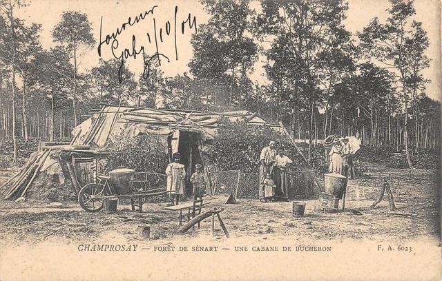 Cpa 91 Champrosay / Foret De Senart / Une Cabane De Bucherons