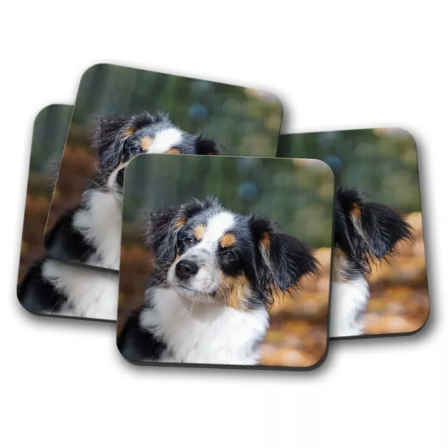 4 Set - Australian Shepherd Collie Coaster - Dog Lovers Cool Animals Gift #16045