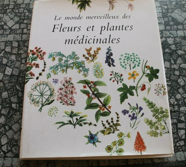 Le Monde Merveilleux Des Fleurs Et Plantes Medicinales