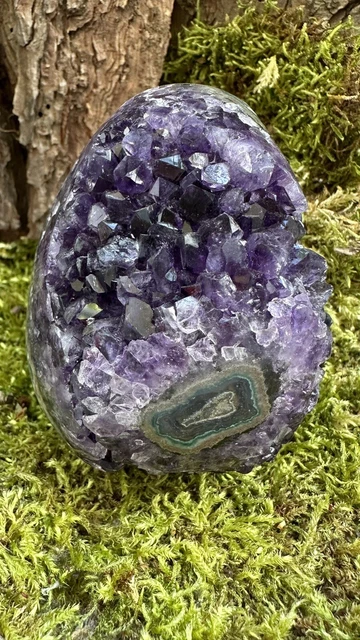 Premium Amethyst - Achat , Geode / Druse aus Mineralien / Edelstein - Sammlung