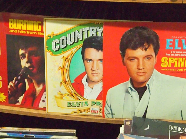 Lot of 3 Vintage ELVIS PRESLEY Vinyl LP Record Albums