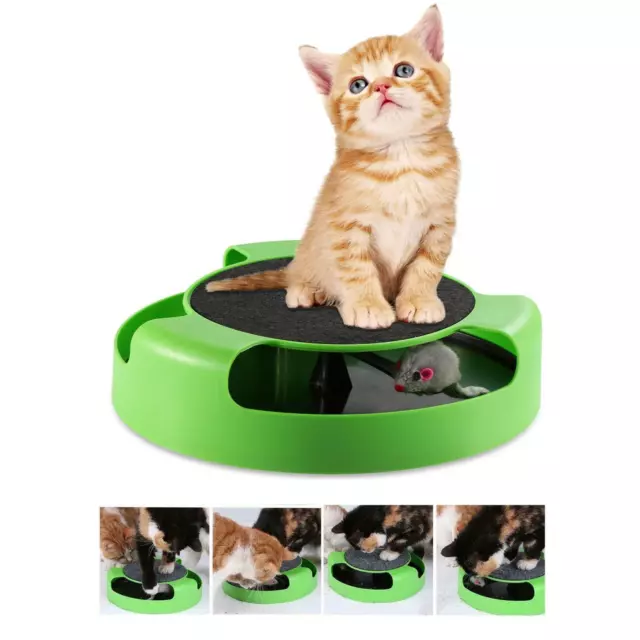 Catch The Mouse Kitten Cat Pet Motion Game With Scratch Pad Moving Claw Toy Gift