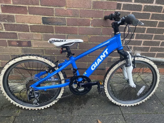 Giant xtc blue and white best sale
