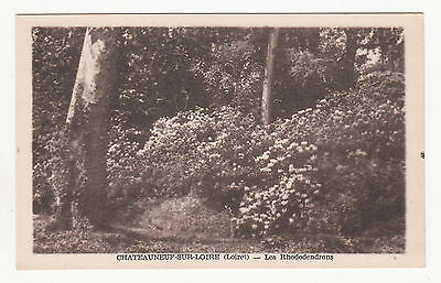 *** Chateauneuf-sur-Loire - Les Rhododendrons *** SD - CPA 1355