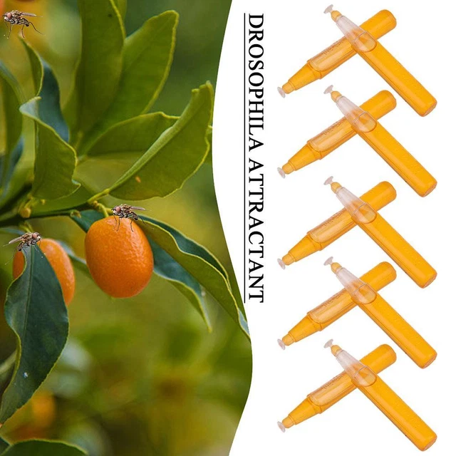 10pcs Fruit Fly Trap Killer Drosophila Trap Fly Catcher Control Pest Insect R8Z9