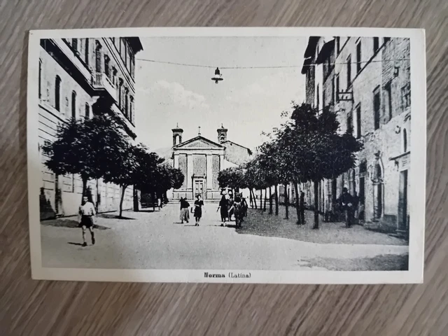 Latina Norma Fp Spedita