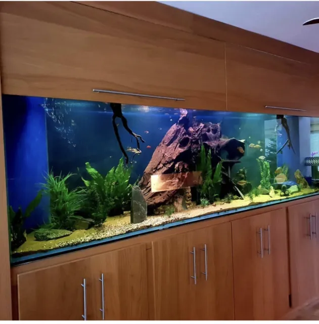 large aquarium fish tank used