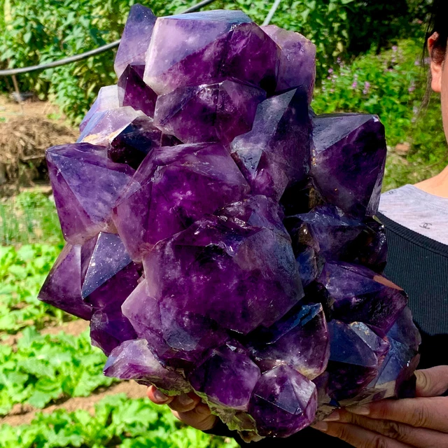 23LB New Find sky blue Phantom Quartz Crystal Cluster Mineral Specimen Healing