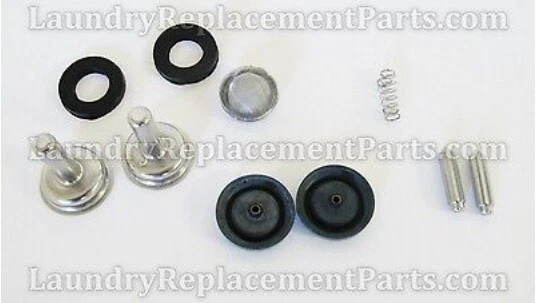 Dexter Valve Repair Kit  #W7438K2