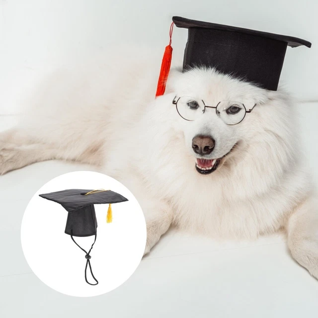 Gorras de perro para perros pequeños gorra y vestido de perro Black Student