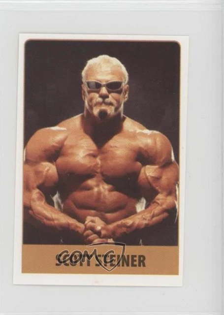 2008 Rafo Wrestling Keceri Stickers Scott Steiner #233