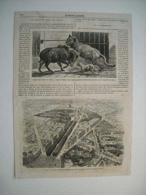 GRAVURE 1866. VUE A VOL D’OISEAU JARDIN DU Luxembourg. JARDIN DES PLANTES PARIS