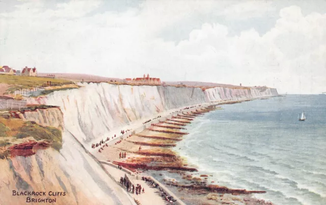 Postcard - Blackrock Cliffs - Brighton - Sussex - A R Quinton - J Salmon