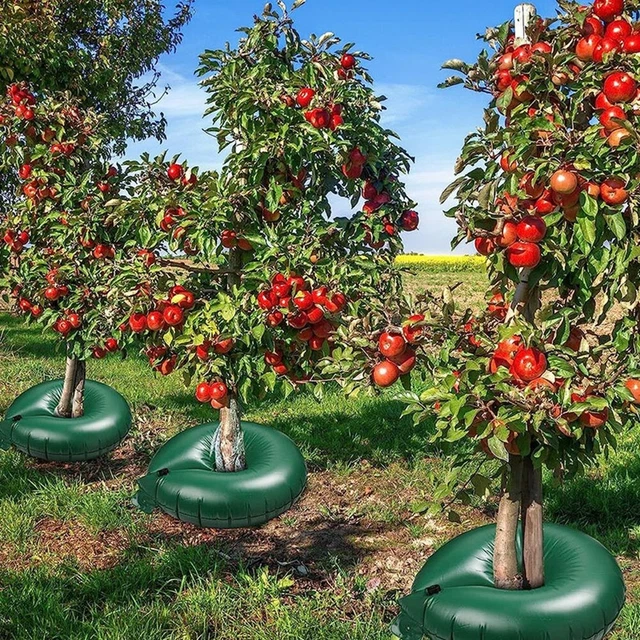 10 sacchetti per irrigazione in PVC da 75 litri, sacchetto antigoccia per alberi, resistente alla siccità, per irrigazione del giardino, serra | Leroy Merlin