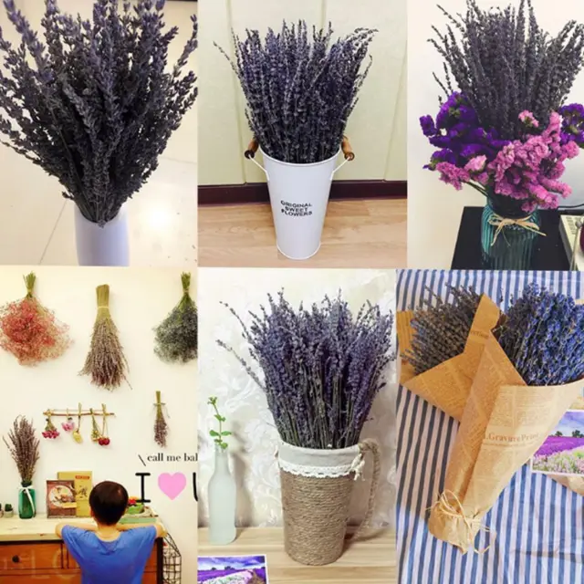 1 racimo de lavanda flor seca natural mejor regalo planta hierba decoraciones para O92023