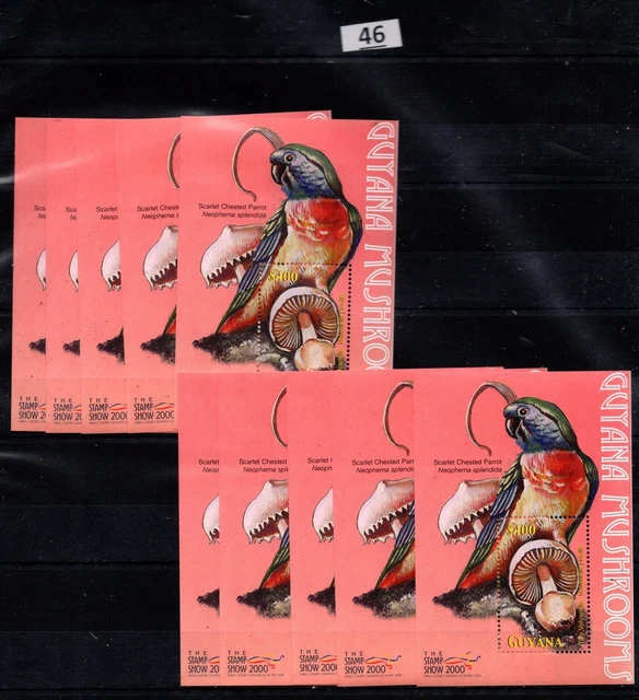 Df 10X Guyana 2000 - Mnh - Mushrooms - Birds Df 10X Guyana 2000 - Mnh - Mushrooms - Birds