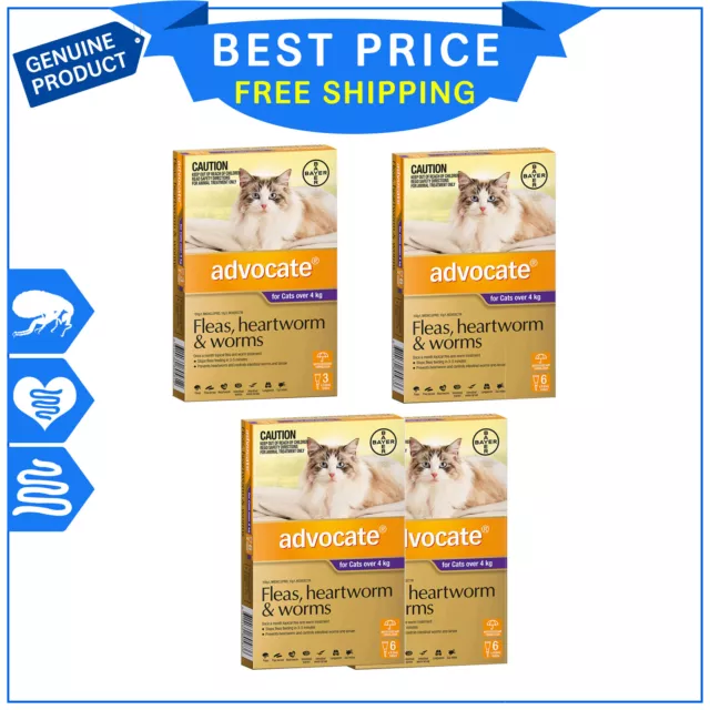 ADVOCATE for Cats Over 4 Kg PURPLE 3, 6, 12 Pipettes Flea Heartworm Worm Control