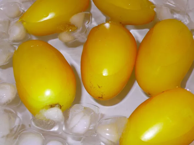 Yellow Plum Tomato - 10+ seeds - SWEET and MILD! P 148